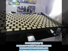 A থেকে Z বিস্কুট লাইন সম্পূর্ণ স্বয়ংক্রিয় বিস্কুট প্রসেসিং লাইন 500kg/H বিস্কুট তৈরীর সরঞ্জাম