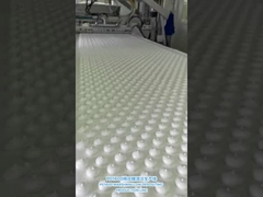 PD1600 মার্শমেলো ডিপোজিটিং প্রোডাকশন লাইন মেশিন সরঞ্জাম মেশিন