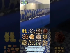 PD1200 ANIMAL ShapE হার্ড বিস্কুট উৎপাদন লাইন